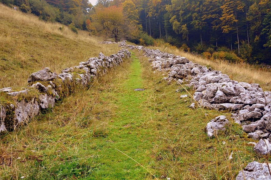 trail, stones, grass, sassi, forest, autumn, the european path HD wallpaper