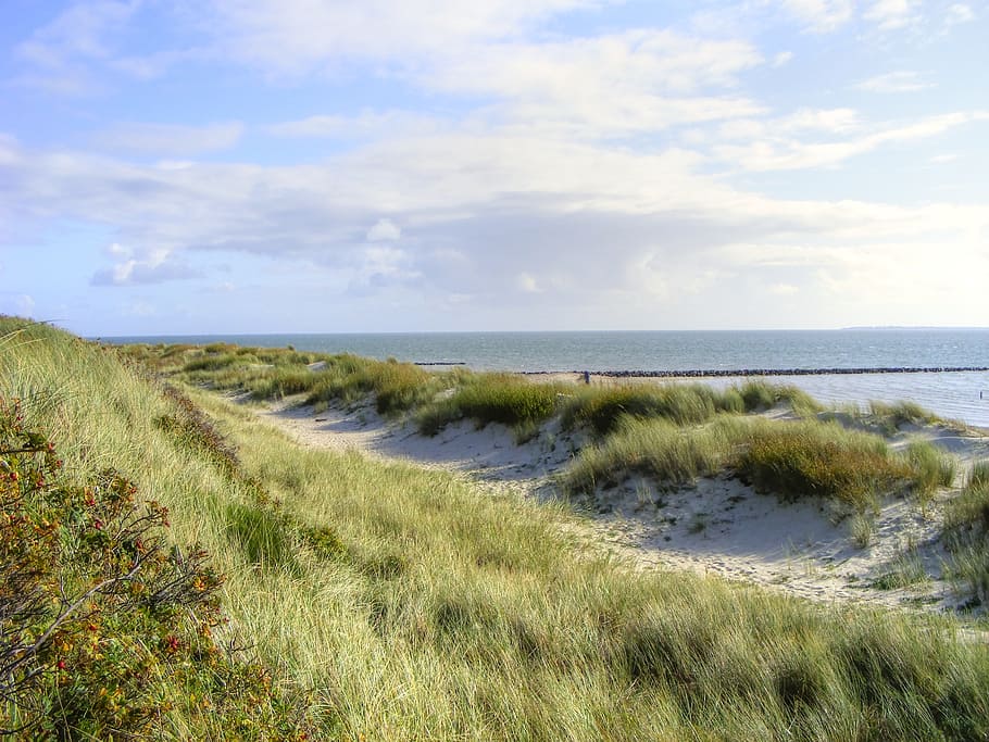 sea, island, dunes, sylt, beach, north sea, nature, wadden sea, HD wallpaper