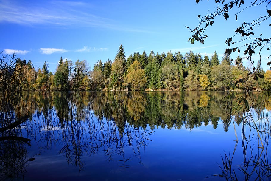 mountains, nature, landscape, tree, reflection, lake, water HD wallpaper