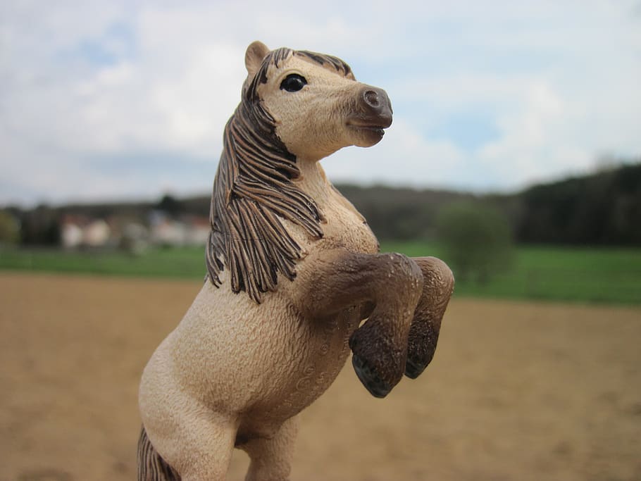 schleich, pony, rise, toys, horse, stallion, slow horse, animal, HD wallpaper