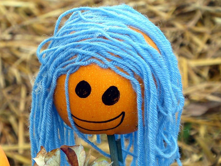 cucurbits, head, blue, orange, squash, face, close-up, representation HD wallpaper