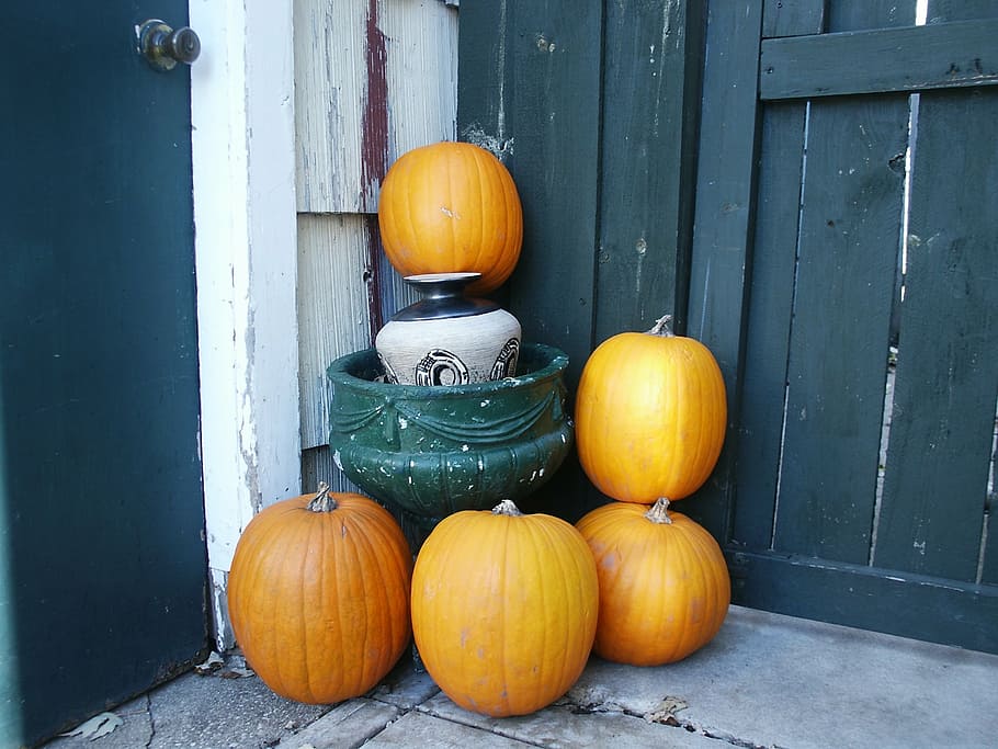 five yellow pumpkins, autumn, november, fall, october, halloween HD wallpaper