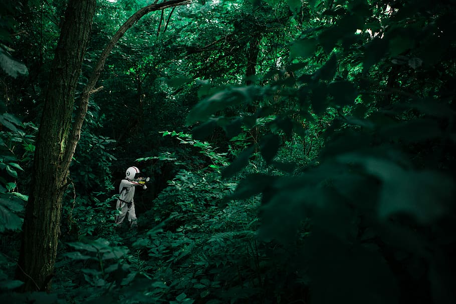 person wearing white shirt standing near grass and trees, person wearing white helmet and suit at forest