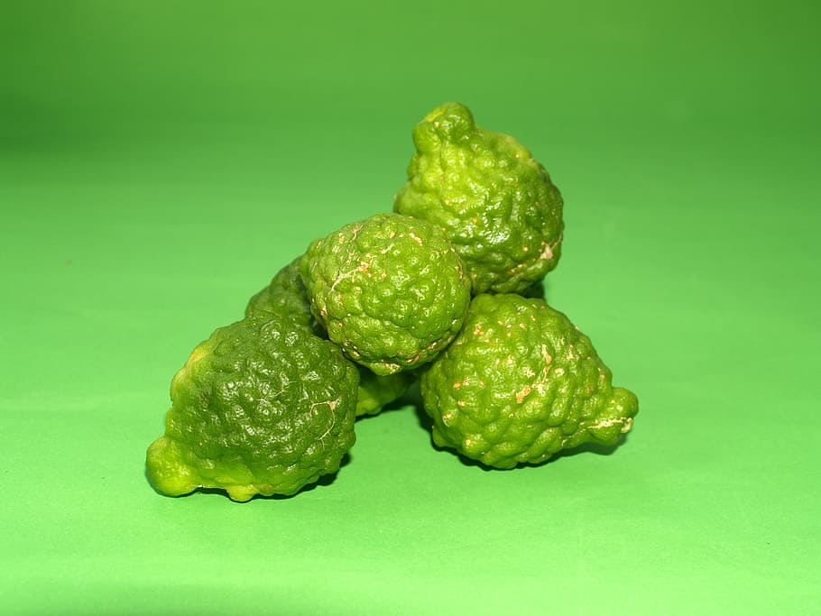 Bergamot, Fruit, Leaf, Isolated, thailand, rough, lemon, natural HD wallpaper