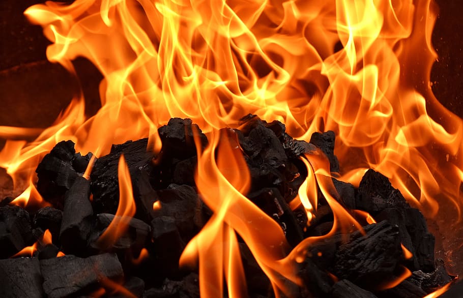 Hình 1: Phản ứng đốt cháy than
