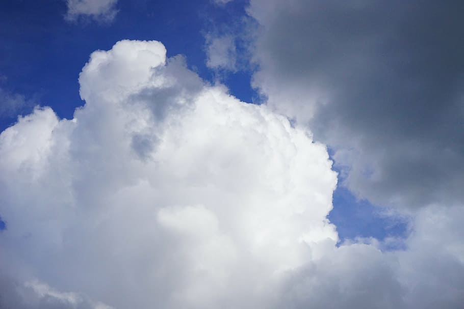 clouds, sky, zuzuiehen, forward, storm, white, blue, grey, cumulus clouds HD wallpaper