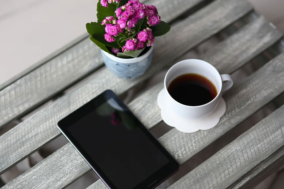 Little pink flowers in a pot with various items, flora, table HD wallpaper