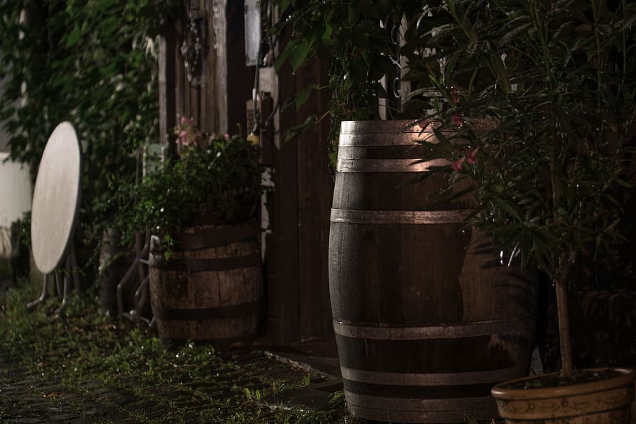 Barrel, Restaurant, Night, Table, Ivy, plants, green, city HD wallpaper
