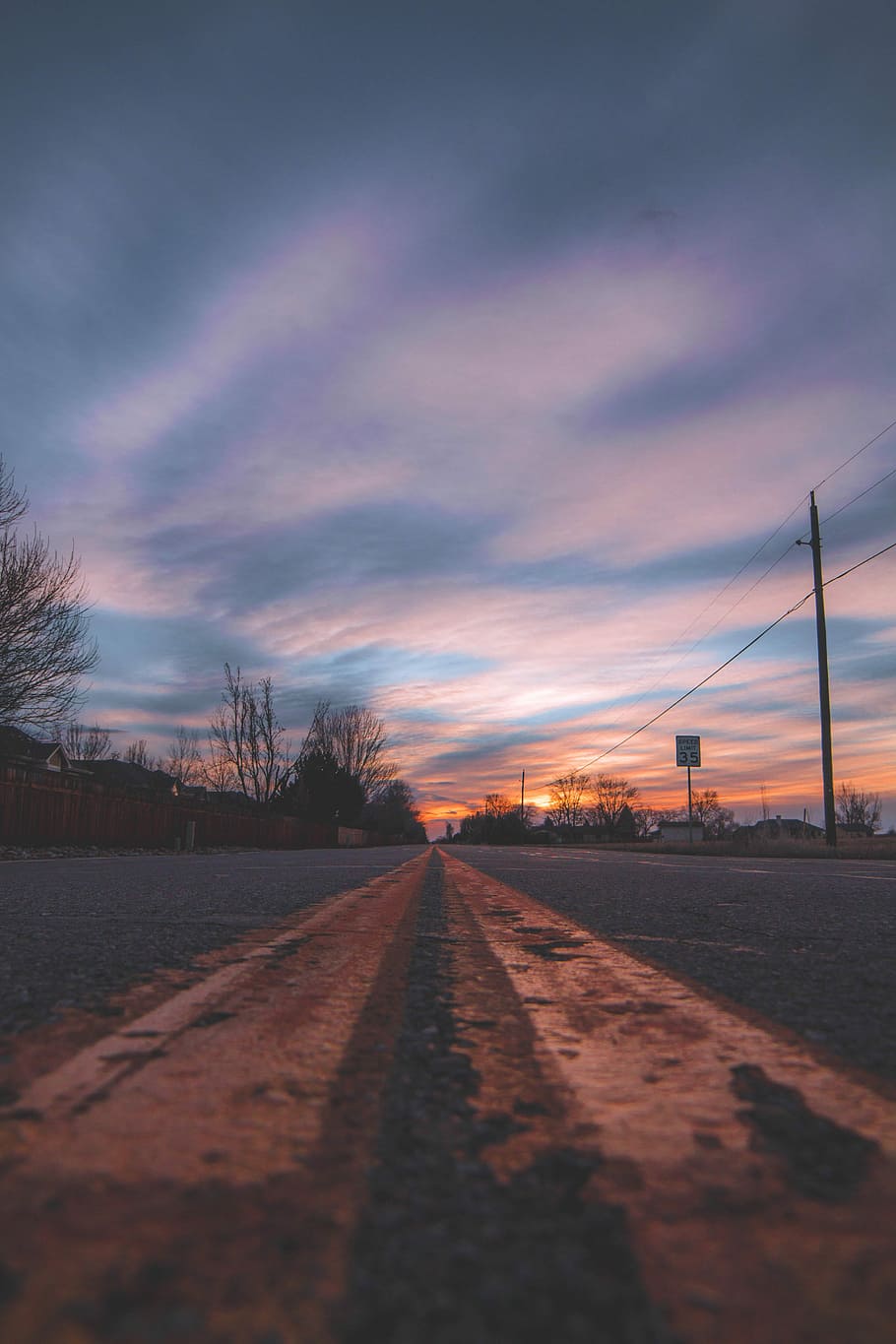 bare trees during sunset, empty road golden hour photography HD wallpaper
