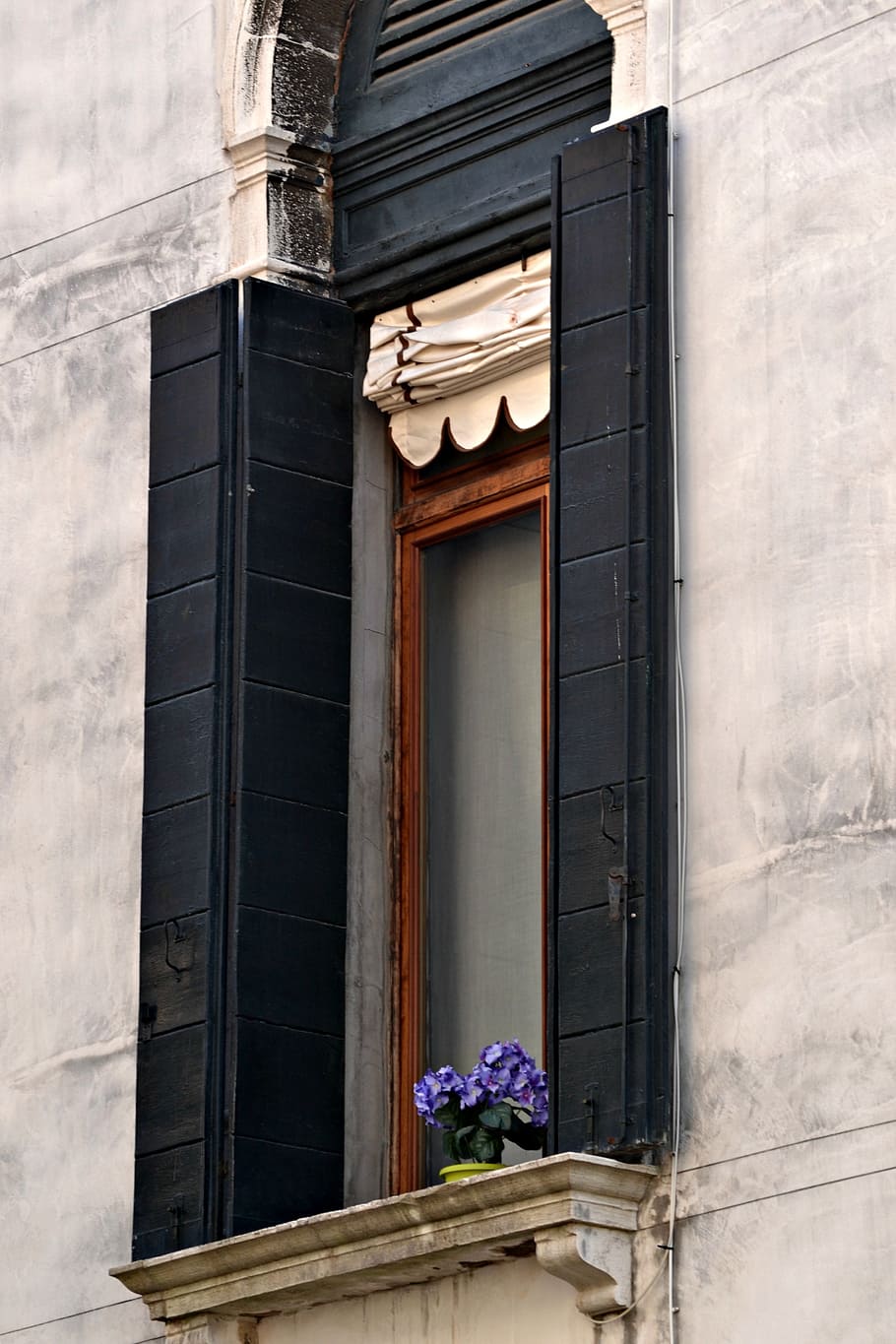 window, flowers, shutters, venice, italy, built structure, building exterior HD wallpaper