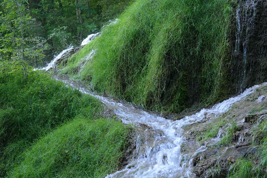 stream near bushes taken during daytime, Water, Flow, Murmur HD wallpaper