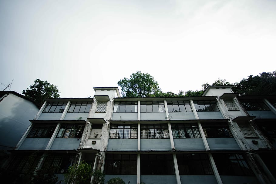 worm's-eye view of white building, low angle view of building HD wallpaper