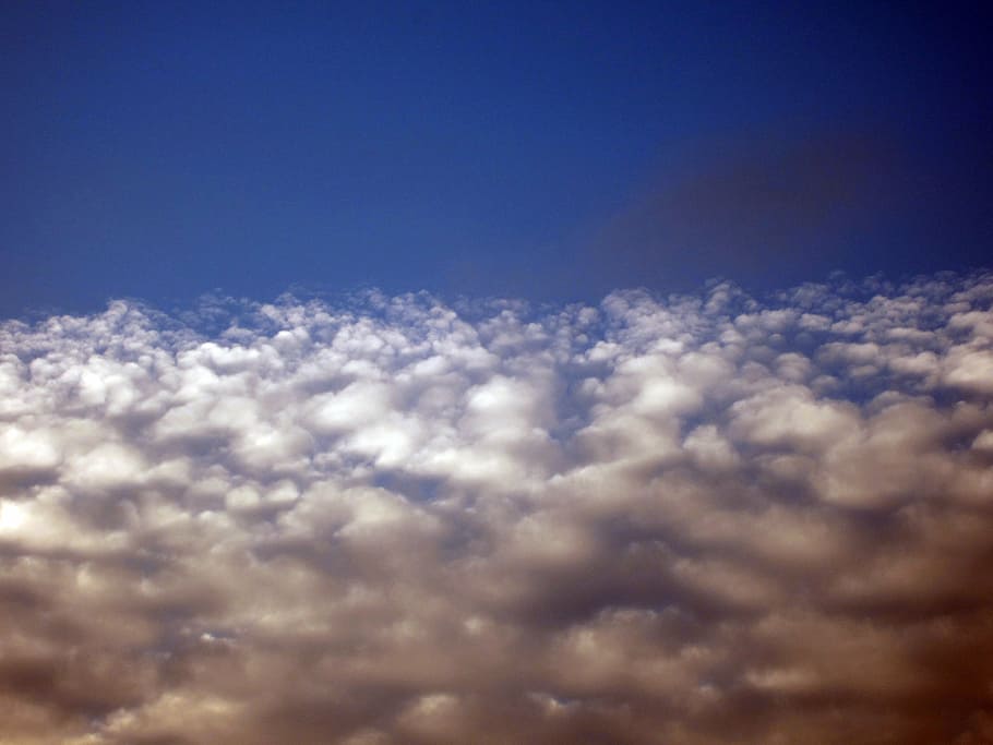 cloud, blue sky, storm clouds, cloud - sky, cloudscape, atmosphere HD wallpaper