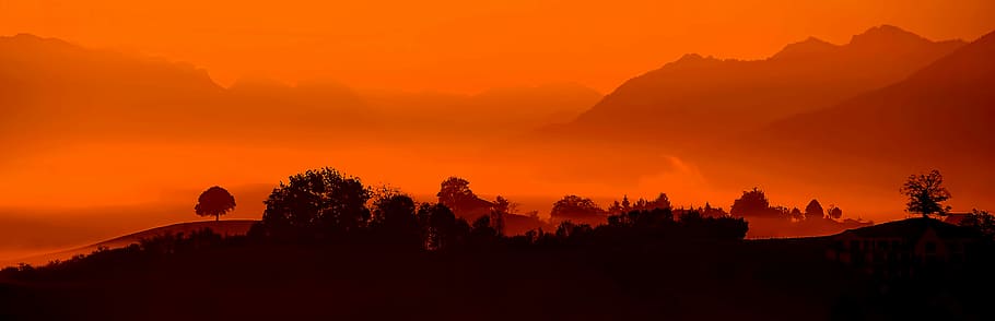 silhouette of trees with mountai n in distance, golden hour photo, HD wallpaper