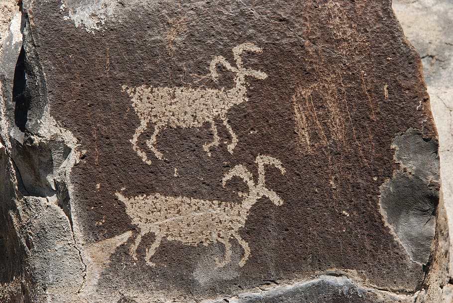 Petroglyph, Image, Scratches, Notching, native american, deer HD wallpaper