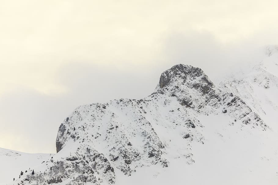mountain, cold, snow, winter, snow-covered, wintry, eiskristalle HD wallpaper
