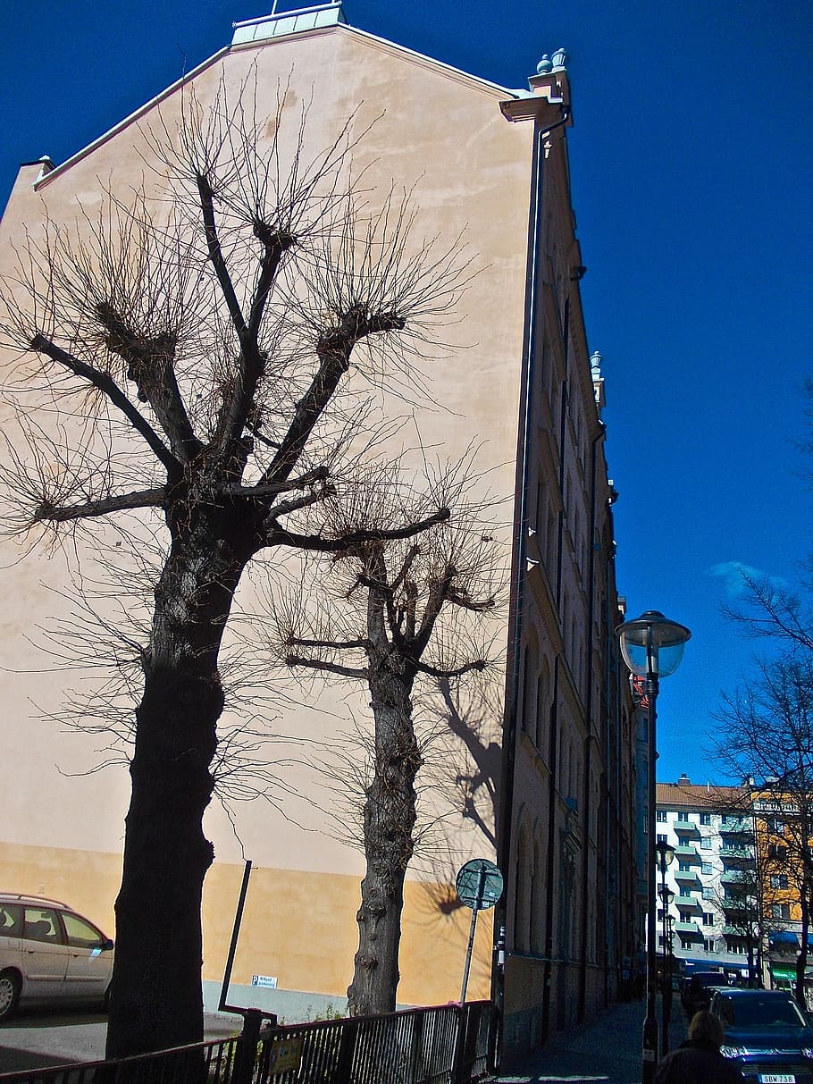 facade, tree shade, mariatorget, stockholm, architecture, building exterior HD wallpaper