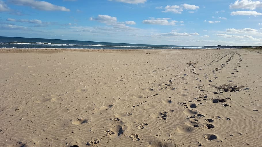 beach, tracks, footprints, shore, coast, coastline, sea, ocean HD wallpaper