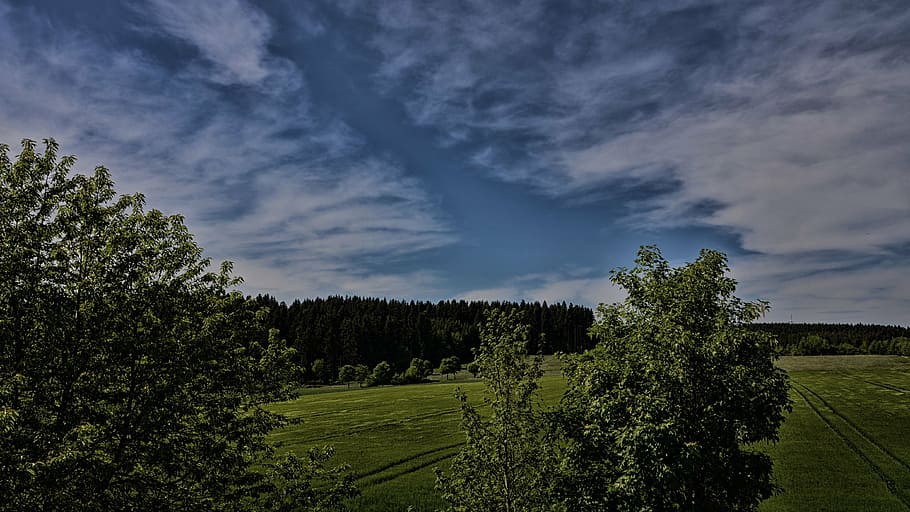 nature, sky, dramatic, gloomy, blue, clouds, meadow, forest HD wallpaper