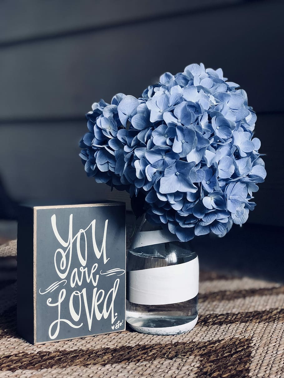 blue flowers in glass vase, You are Loved slab near purple hydrangea flower HD wallpaper