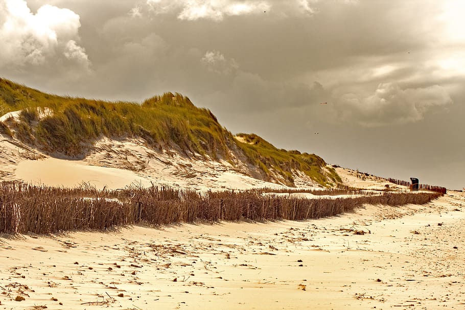 Amrum, Dune, Beach, Island, North Sea, holiday, sky, sand dune, HD wallpaper