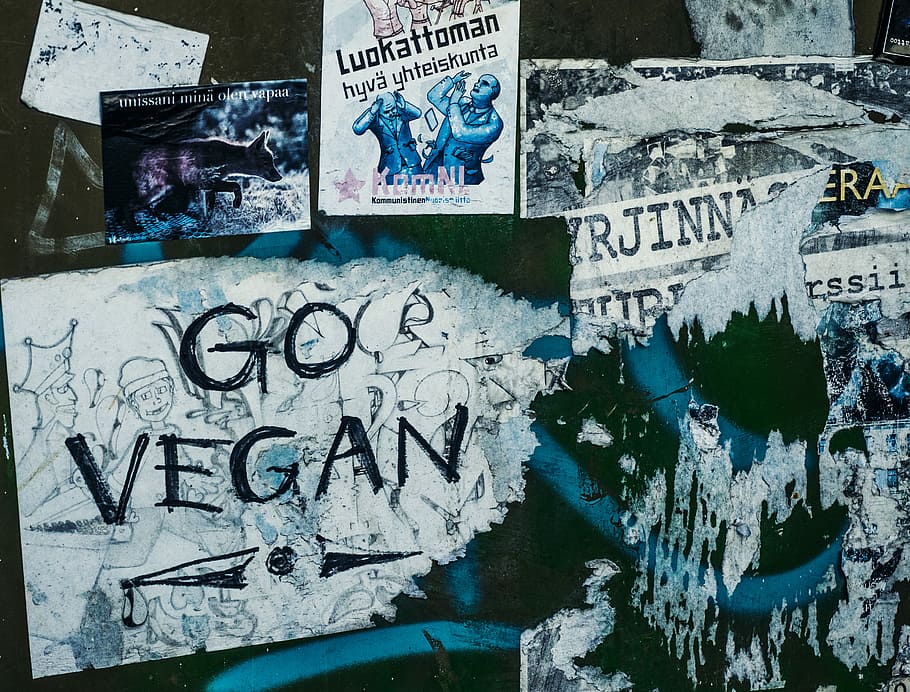 assorted posters and vandals on wall, wall full of flyers and graffitis HD wallpaper