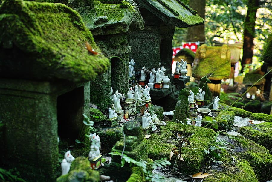 Shrine, Fox, Moss, Green, Japan, old, nature, architecture HD wallpaper