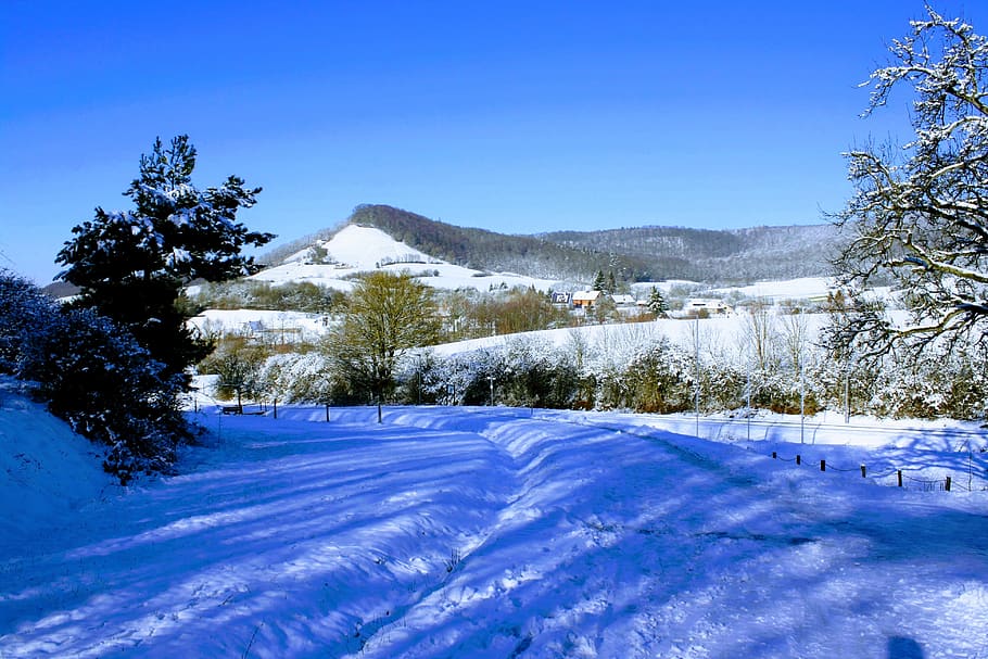 snow, winter, cold, nature, tree, landscape, panorama, schönwetter HD wallpaper