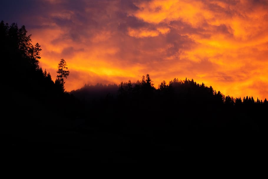 twilight, sunset, sky, bright, evening, trees, nature, abendstimmung HD wallpaper