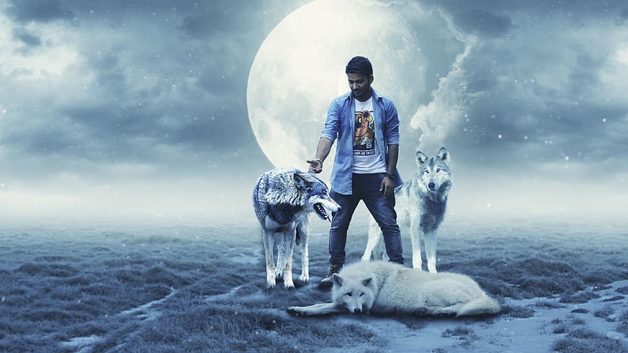 man beside three siberian huskies and full moon effect  illustration HD wallpaper