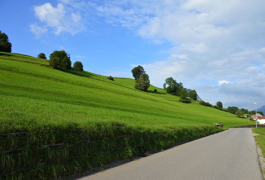 Allgäu, Panorama, Trees, Hut, reported, mountains, sky, gary long HD wallpaper