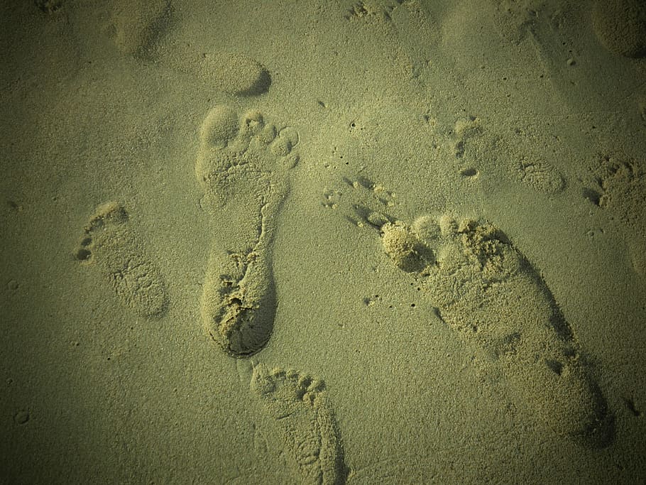 Footprints, Sand, Beach, Beach, Walking, no people, full frame HD wallpaper