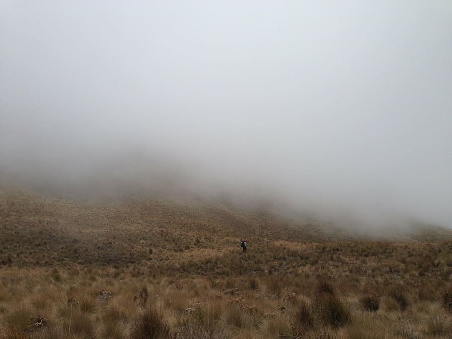 fog, mountain, landscape, woods, night, mystery, dark, misty HD wallpaper