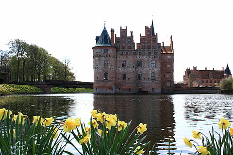 castle beside body of water, fyn, egeskov, spring, denmark HD wallpaper