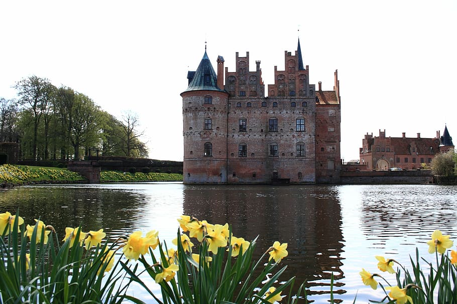 castle beside body of water, fyn, egeskov, spring, denmark, architecture, HD wallpaper