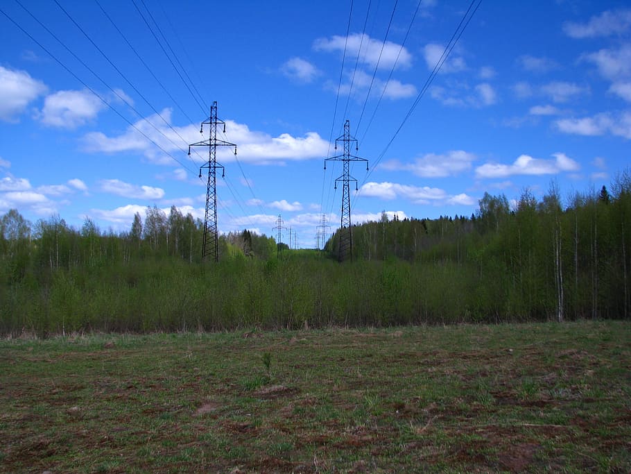 forest, line, support, electricity, wire, light, transmission towers HD wallpaper