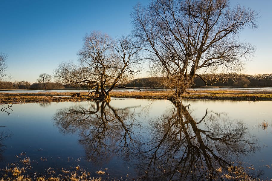 elbe, high water, evening, river, current, nature, mood, sunset HD wallpaper