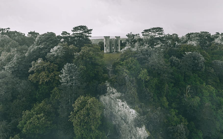 A Crack in the Forest, fort in the middle of forest during daytime HD wallpaper