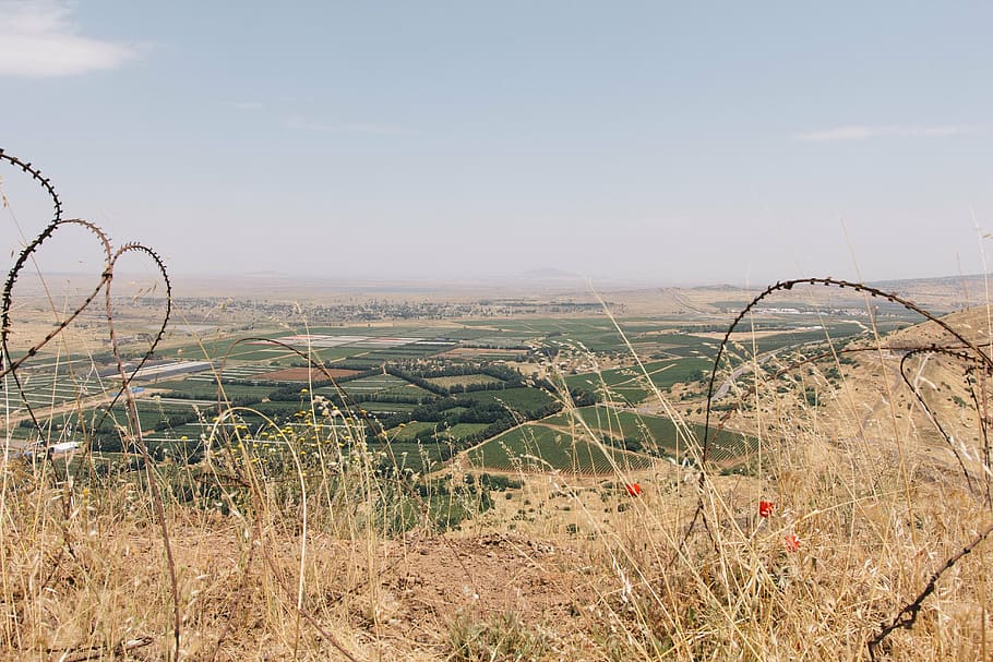 barbed wire, field, dom, grass, landscape, nature, sky, plant HD wallpaper
