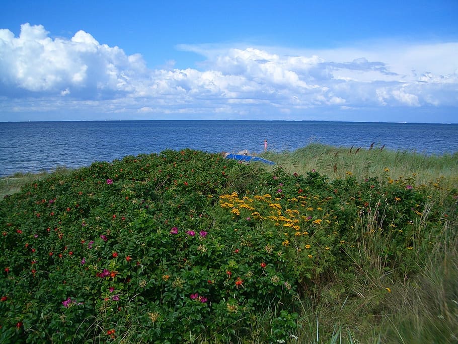Femo, Denmark, Landscape, Scenic, Island, sky, clouds, sea HD wallpaper