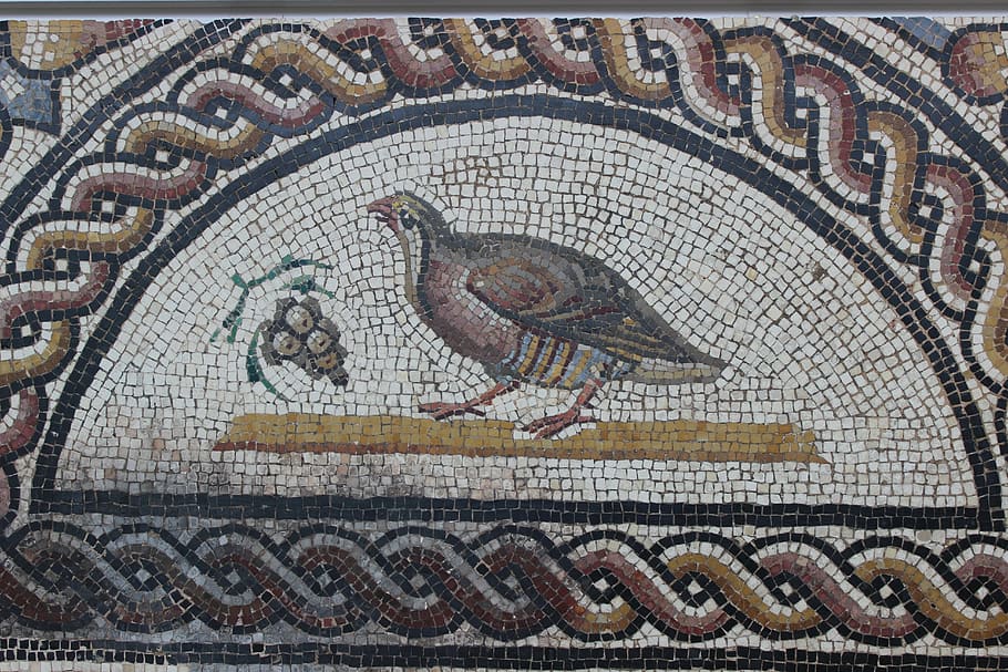 antique, mosaic, rome, vestige, archaeology, st-roman-en-gal, HD wallpaper