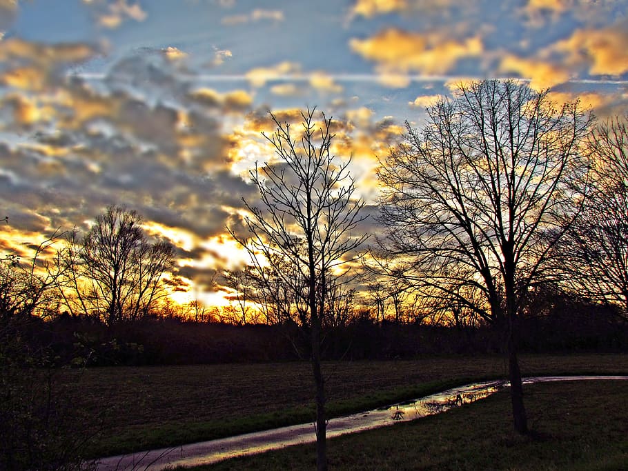 Landscape, After The Rain, Rain, Tree, sky, nature, sunset HD wallpaper