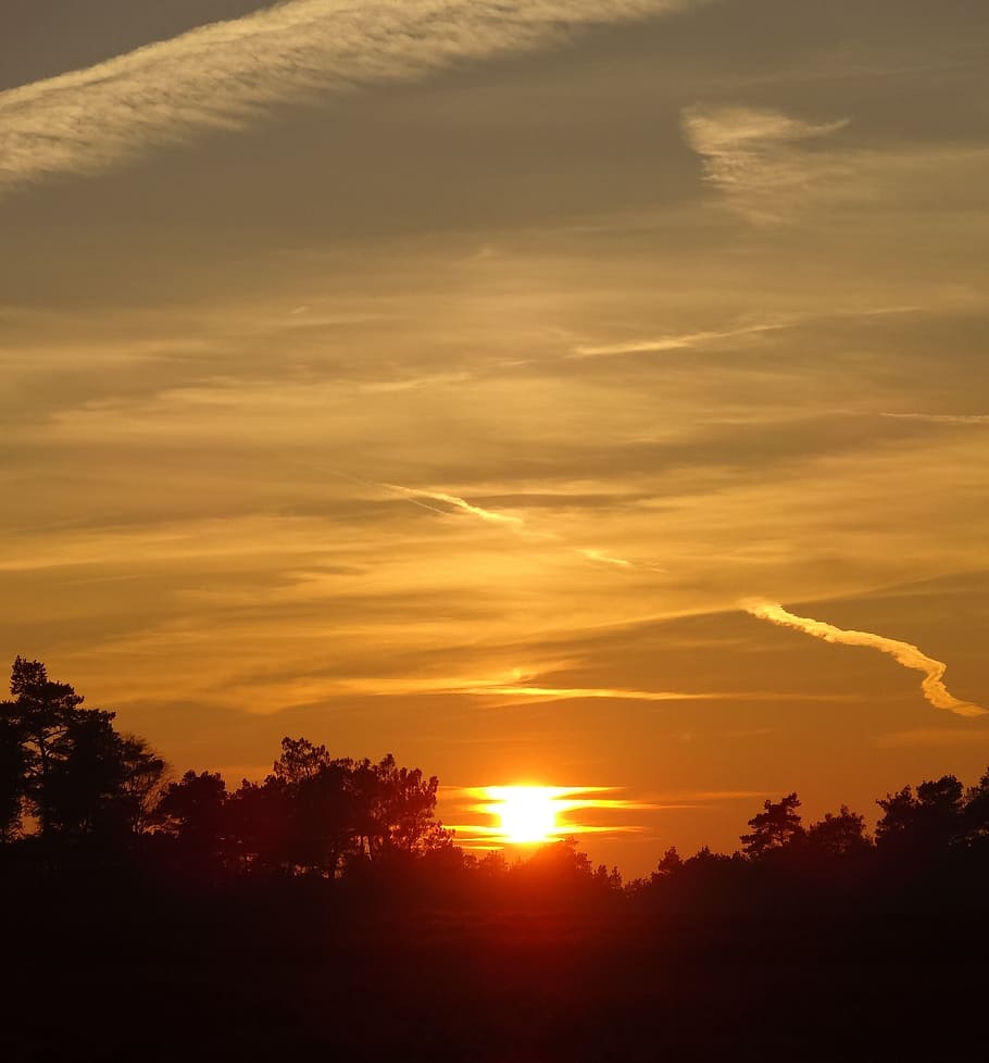 sun, evening, sunset, orange, yellow, clouds, forest, setting sun HD wallpaper