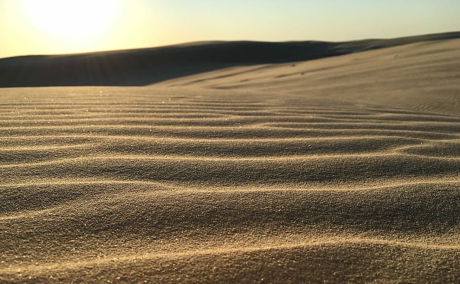 gray desert sand at daytime, nature, sand Dune, dry, landscape HD wallpaper