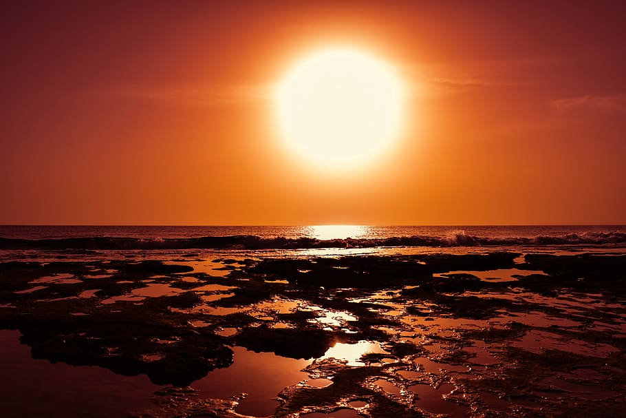 seashore at golden hour, sunset, beach, nature, landscape, horizon HD wallpaper