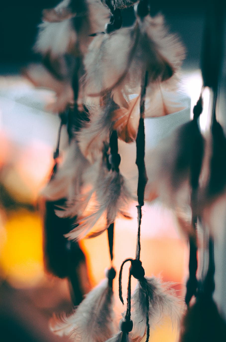 shallow focus photography of feathers, selective focus photo of white and brown feather dreamcatcher HD wallpaper