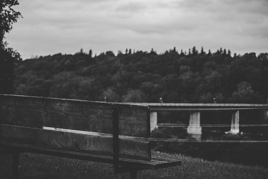 bench fronting body of wate, bridge, tree, mountain, forest, woodland, bench HD wallpaper