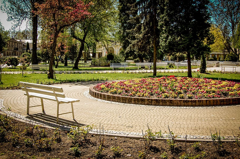 bench, park, spacer, rest, plant, tree, growth, nature, tranquility HD wallpaper