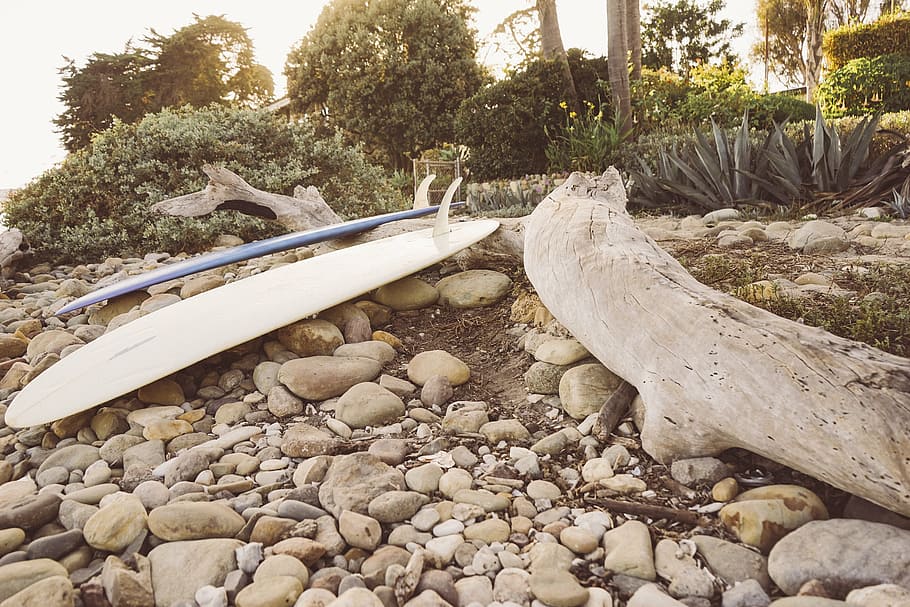 white and blue surfboards, brown, rocks, near, beach, dirt HD wallpaper