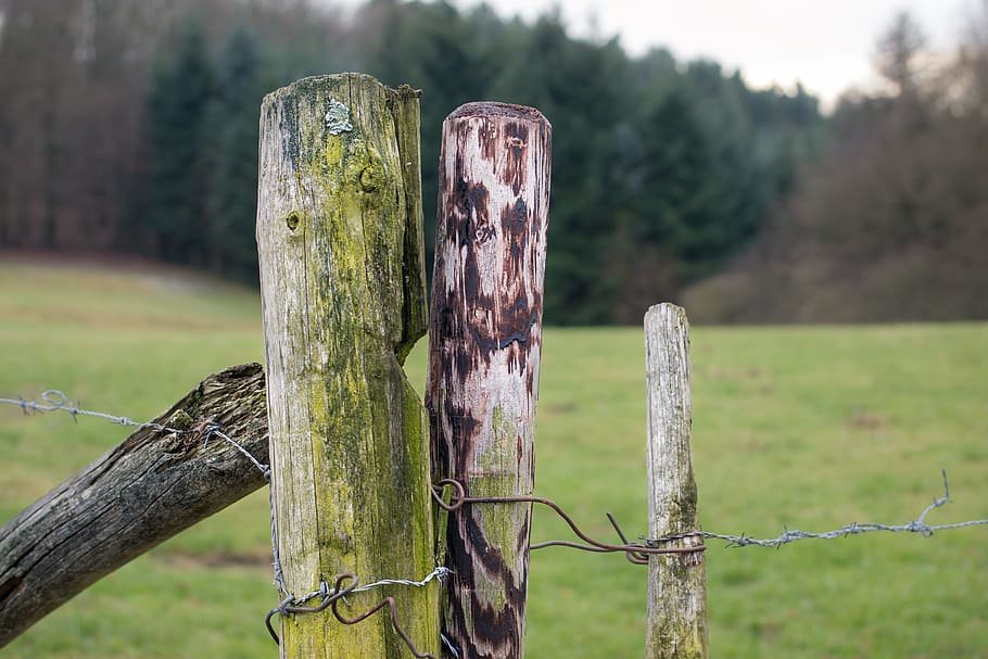 Fence, Pile, Post, Pasture, fence post, meadow, wood fence HD wallpaper